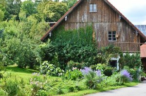 Old barn home with lush gardens surrounding