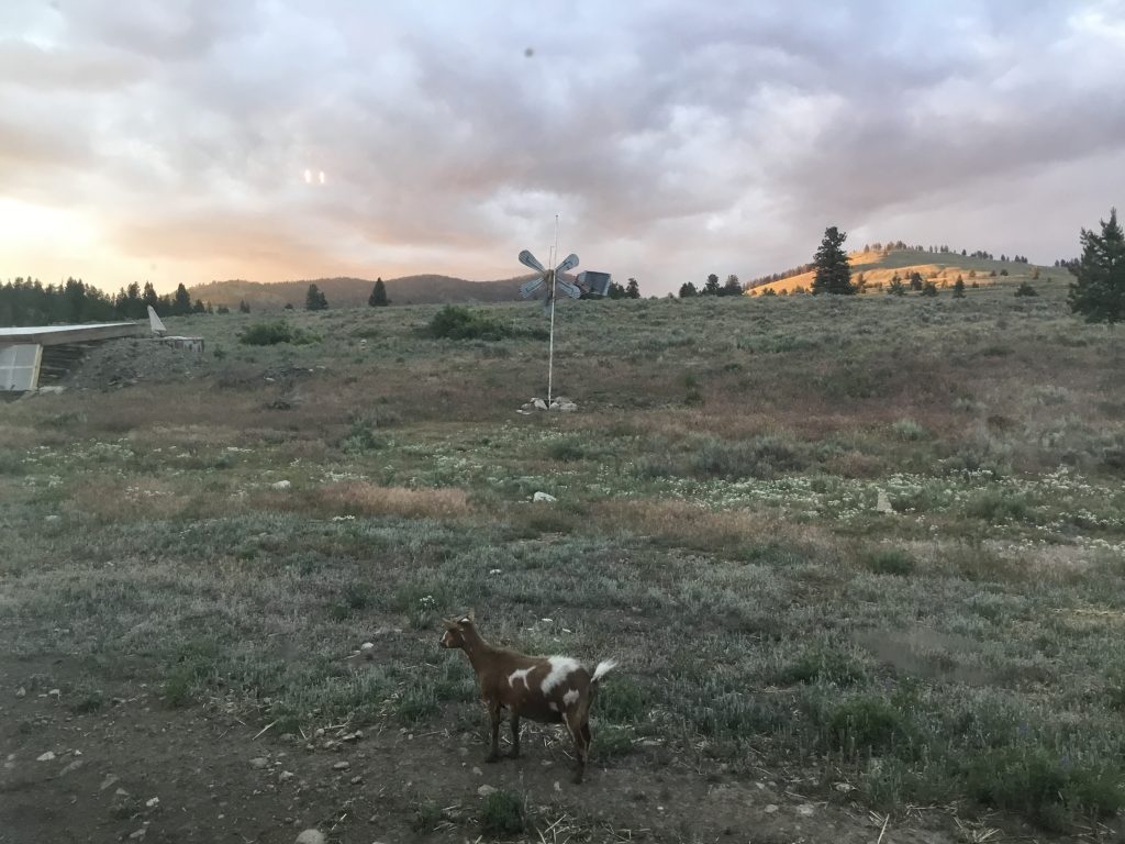 Unidentified aerial phenomenon above the set of the "Raising Wild" TV show